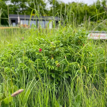 With Panoramic View Of Aarhus Bay Casa de Férias