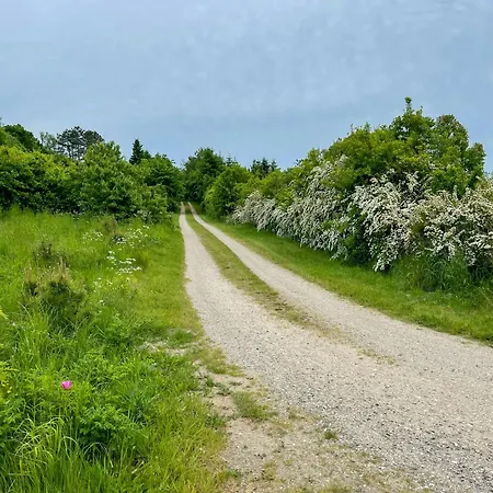 With Panoramic View Of Aarhus Bay